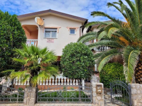 Apartment Jelena Vir